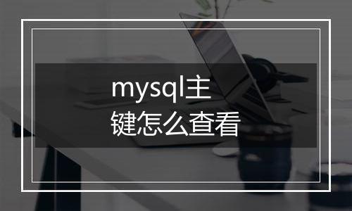 mysql主键怎么查看