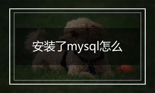 安装了mysql怎么