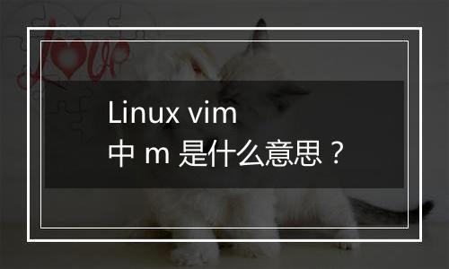 Linux vim 中 m 是什么意思?