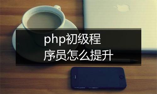php初级程序员怎么提升