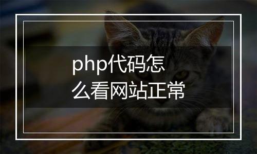 php代码怎么看网站正常
