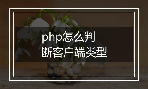 php怎么判断客户端类型