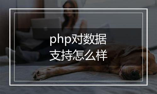 php对数据支持怎么样
