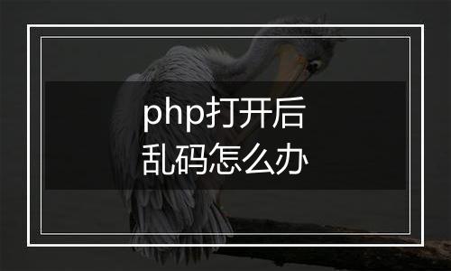 php打开后乱码怎么办