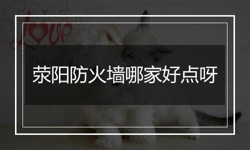 荥阳防火墙哪家好点呀