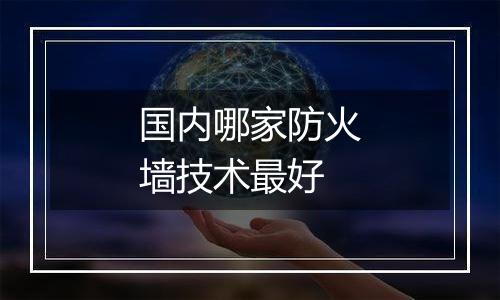 国内哪家防火墙技术最好