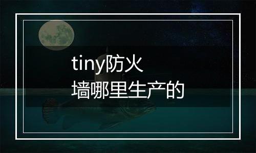 tiny防火墙哪里生产的