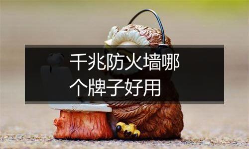 千兆防火墙哪个牌子好用