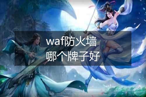 waf防火墙哪个牌子好
