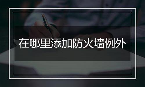 在哪里添加防火墙例外