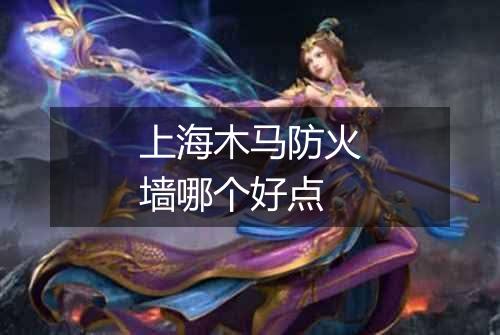 上海木马防火墙哪个好点
