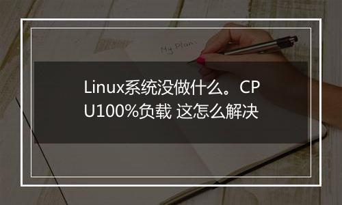 Linux系统没做什么。CPU100%负载 这怎么解决