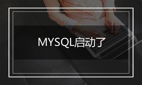 MYSQL启动了