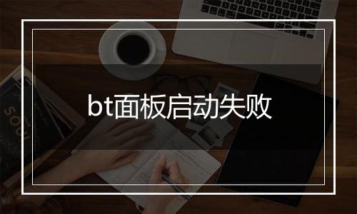 bt面板启动失败