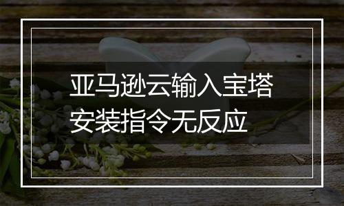 亚马逊云输入宝塔安装指令无反应