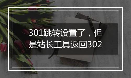 301跳转设置了,但是站长工具返回302