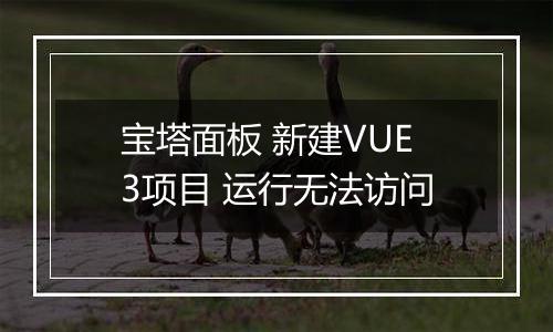 宝塔面板 新建VUE3项目 运行无法访问