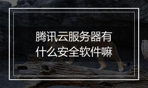腾讯云服务器有什么安全软件嘛