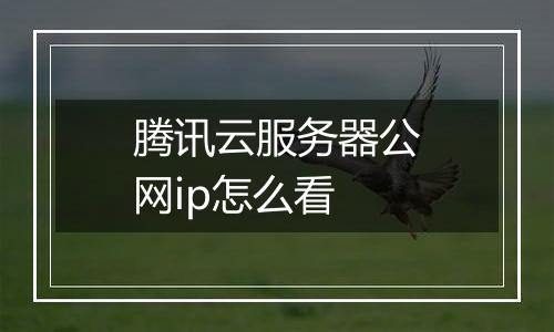 腾讯云服务器公网ip怎么看