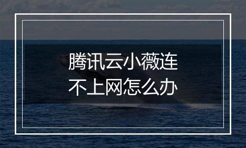 腾讯云小薇连不上网怎么办