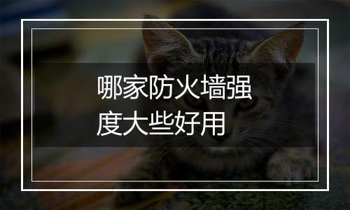 哪家防火墙强度大些好用