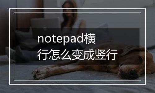 notepad横行怎么变成竖行