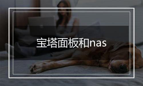 宝塔面板和nas