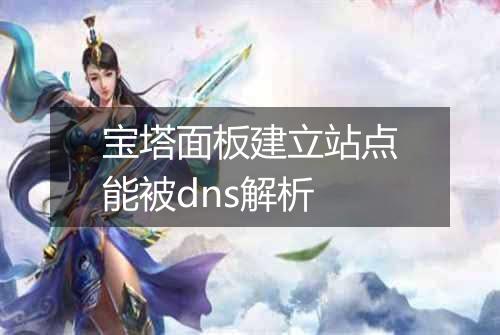 宝塔面板建立站点能被dns解析
