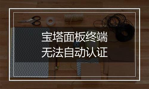 宝塔面板终端无法自动认证