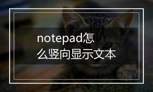 notepad怎么竖向显示文本