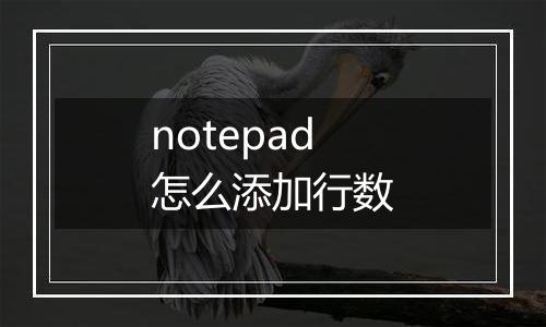 notepad怎么添加行数