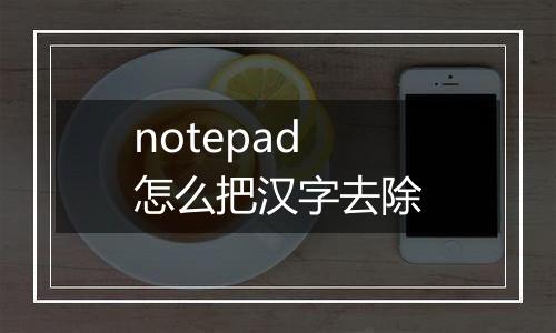 notepad怎么把汉字去除