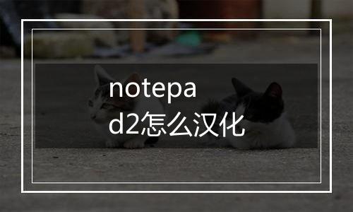 notepad2怎么汉化