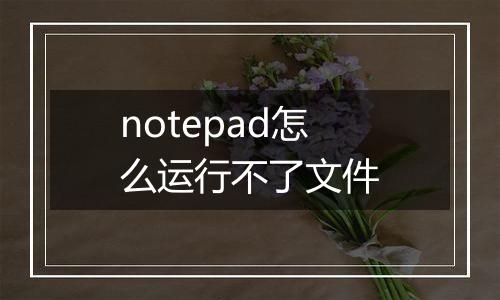 notepad怎么运行不了文件