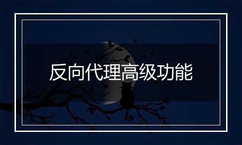 反向代理高级功能