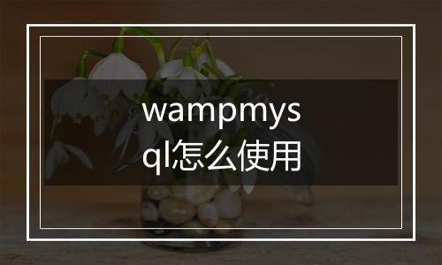 wampmysql怎么使用