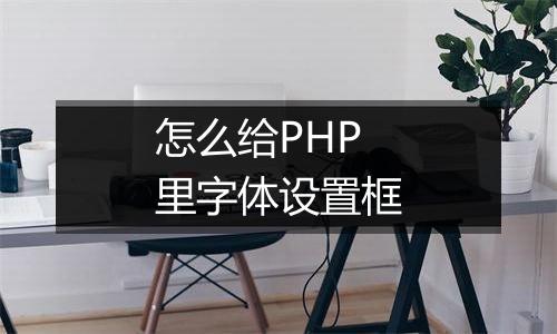 怎么给PHP里字体设置框