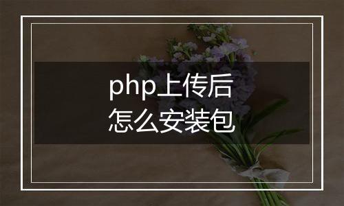 php上传后怎么安装包