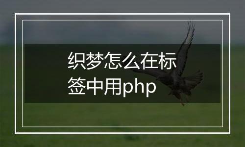 织梦怎么在标签中用php