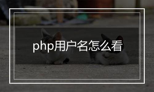 php用户名怎么看