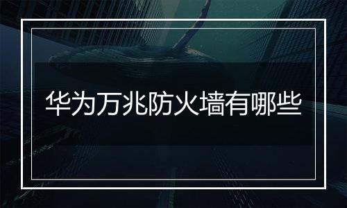 华为万兆防火墙有哪些