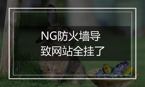NG防火墙导致网站全挂了