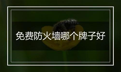 免费防火墙哪个牌子好