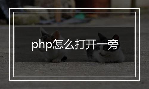 php怎么打开一旁