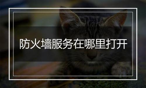防火墙服务在哪里打开