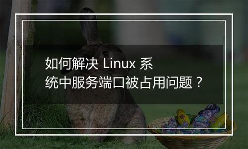 如何解决 Linux 系统中服务端口被占用问题？