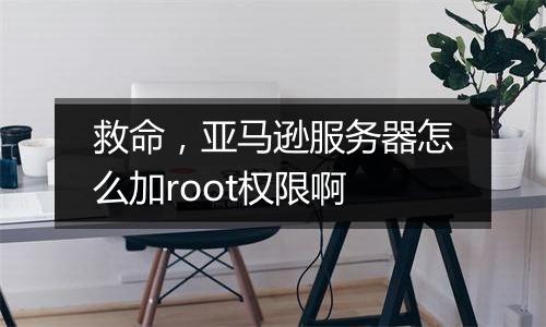 救命,亚马逊服务器怎么加root权限啊