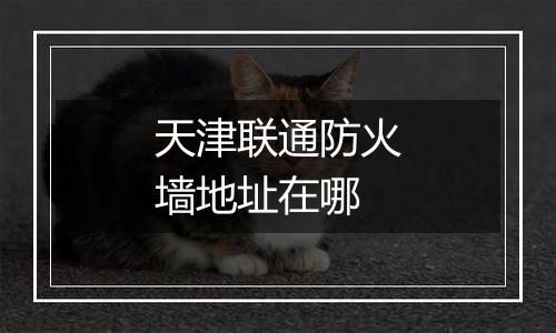 天津联通防火墙地址在哪