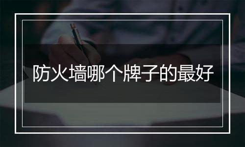 防火墙哪个牌子的最好