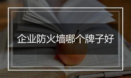 企业防火墙哪个牌子好